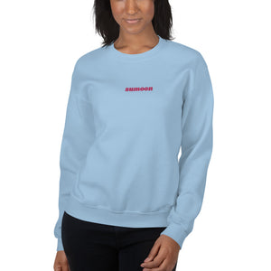 embroidered logo sweatshirt